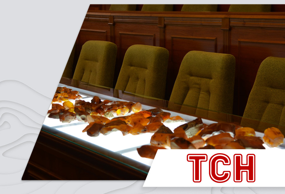 16.10.2020 - Amber at Auction: Ukraine Hosts the First Open Auction for the Sale of Natural Stone