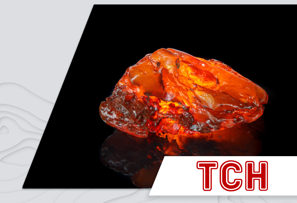 27.11.2020 - A Tonne of Amber Sold at Auction: Volyn Hosts Open Auction for the Second Time in Two Months